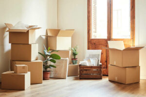 Cardboard boxes and potted plants in empty room. Moving objects are on hardwood floor of new apartment.